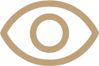 Our Vision